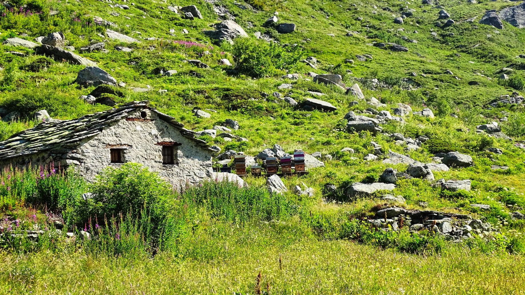 chalet d'alpage en Vanoise