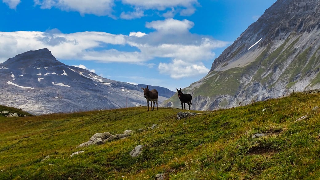 Refuge et  col de la Leisse randonnée massif de la Vanoise 