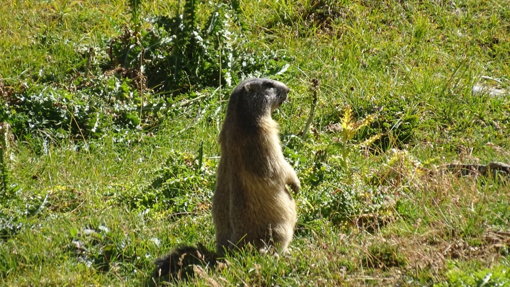 Randonnée en Vanoise par BAW 